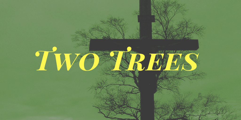 Two Trees | Chris B – Word of Grace Church, Pune