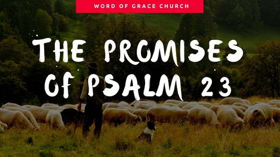The Promises of Psalm 23 | Colin D