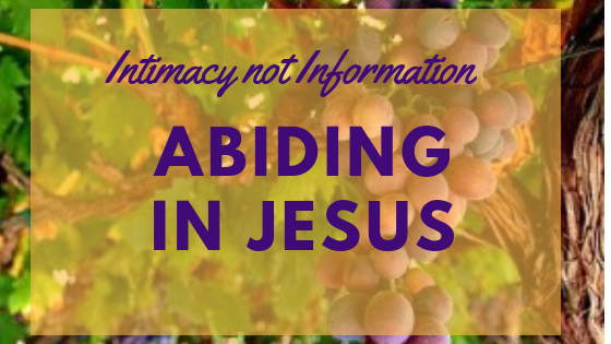 Intimacy not information – Abiding in Jesus| Navaz DCruz