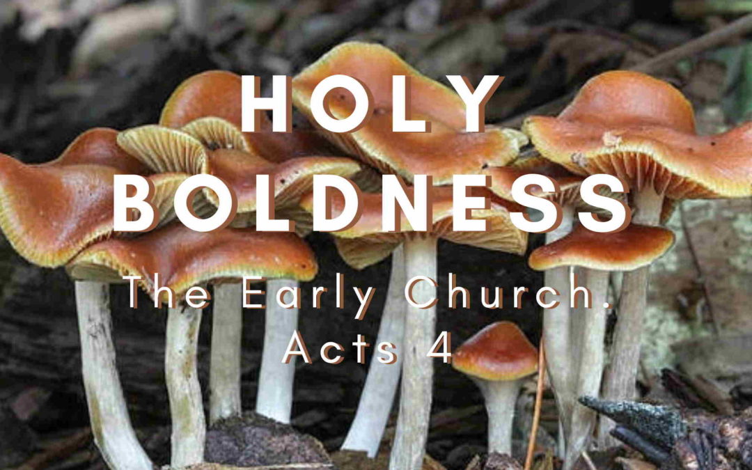 Holy Boldness – The Early Church